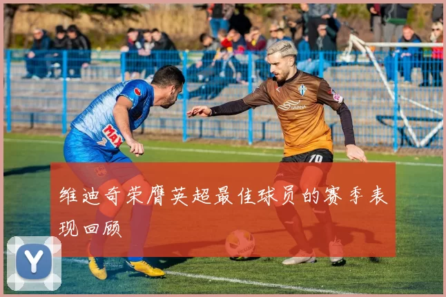 维迪奇荣膺英超最佳球员的赛季表现回顾