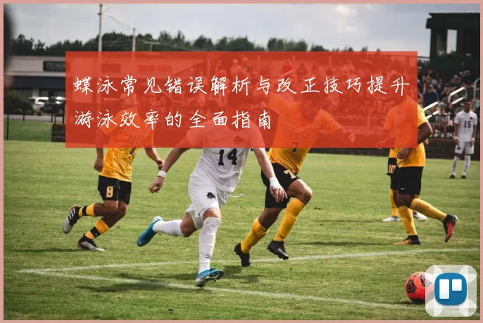 蝶泳常见错误解析与改正技巧提升游泳效率的全面指南