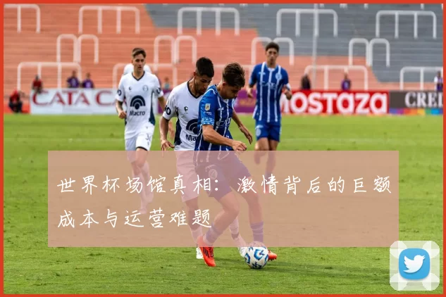 世界杯场馆真相：激情背后的巨额成本与运营难题
