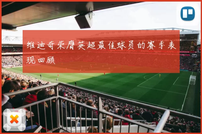 维迪奇荣膺英超最佳球员的赛季表现回顾