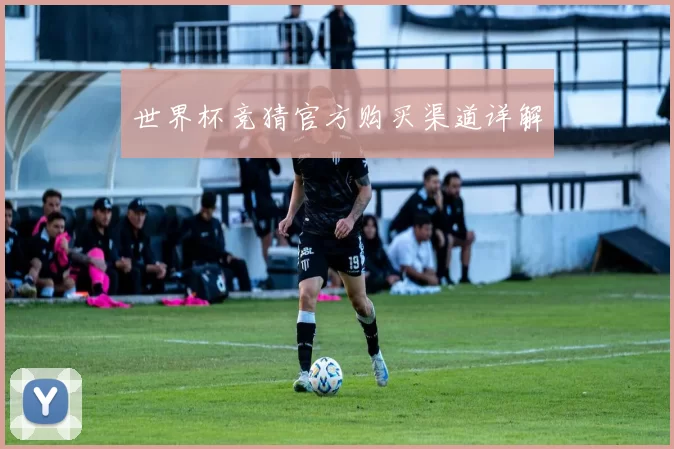 世界杯竞猜官方购买渠道详解