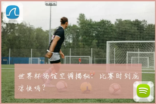 世界杯场馆空调揭秘：比赛时到底凉快吗？