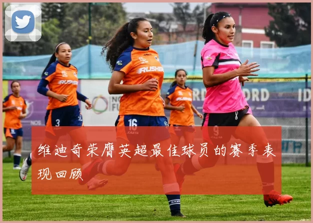 维迪奇荣膺英超最佳球员的赛季表现回顾