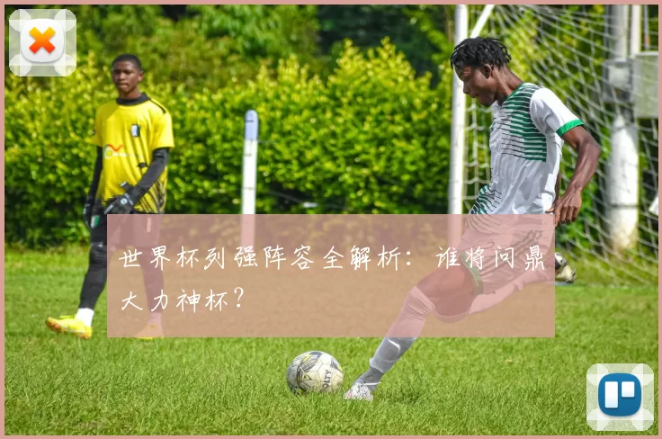 世界杯列强阵容全解析：谁将问鼎大力神杯？