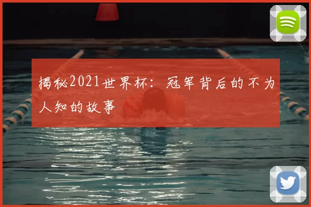 揭秘2021世界杯：冠军背后的不为人知的故事