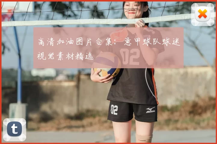 高清加油图片合集：意甲球队球迷视觉素材精选