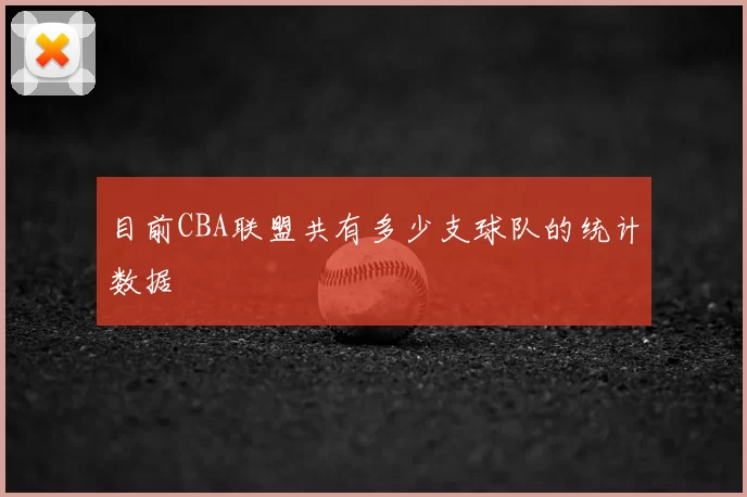 目前CBA联盟共有多少支球队的统计数据
