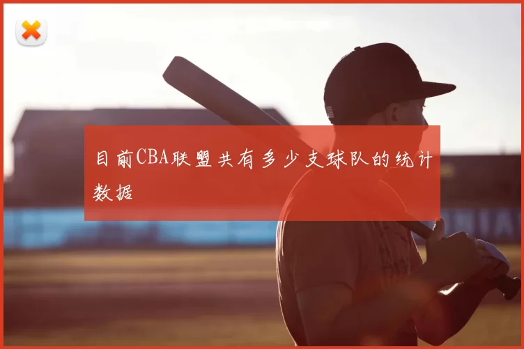目前CBA联盟共有多少支球队的统计数据