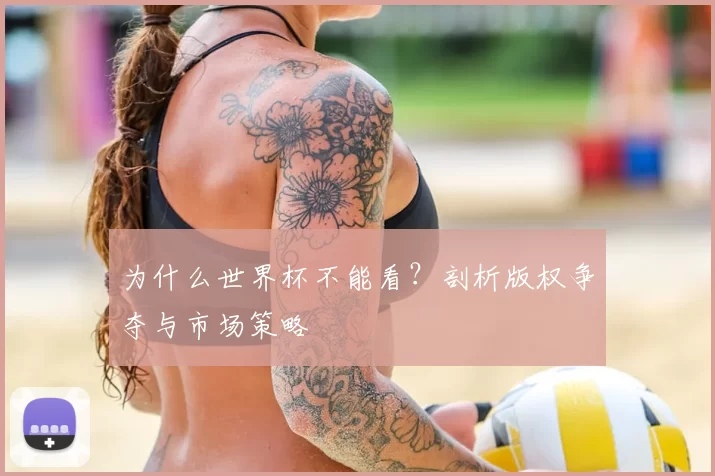 为什么世界杯不能看？剖析版权争夺与市场策略