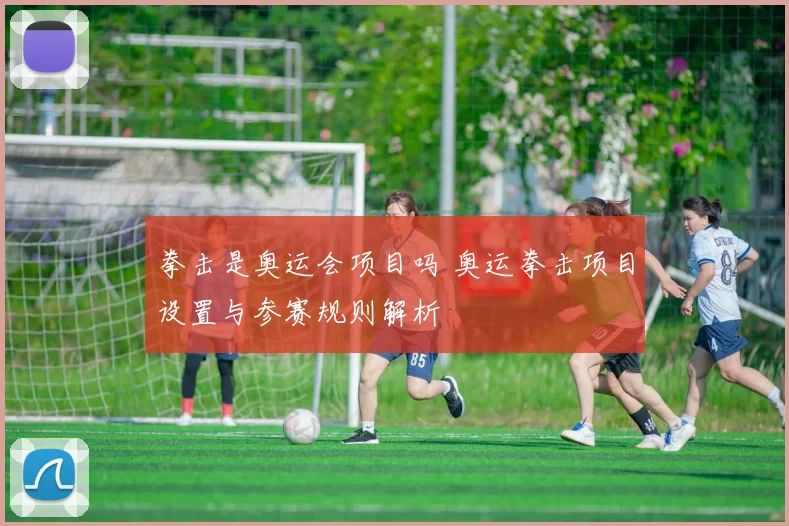 拳击是奥运会项目吗 奥运拳击项目设置与参赛规则解析