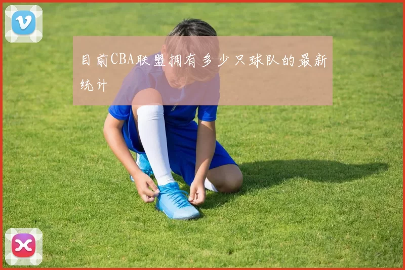 目前CBA联盟拥有多少只球队的最新统计